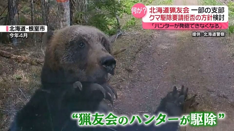 「ハンターが発砲できなくなる」北海道猟友会、一部の支部でクマ駆除要請拒否の方針検討　何が？