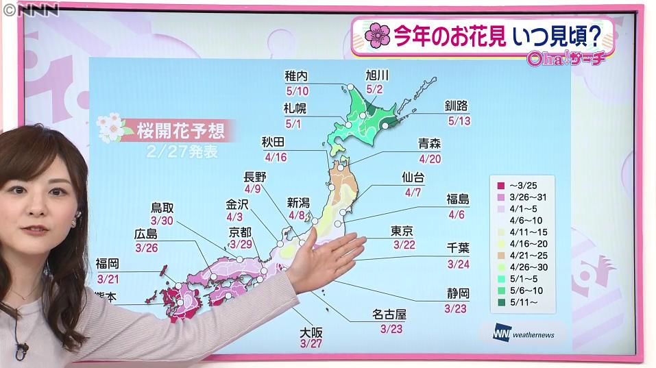 桜の開花、なぜ「東京」が一番乗りに？