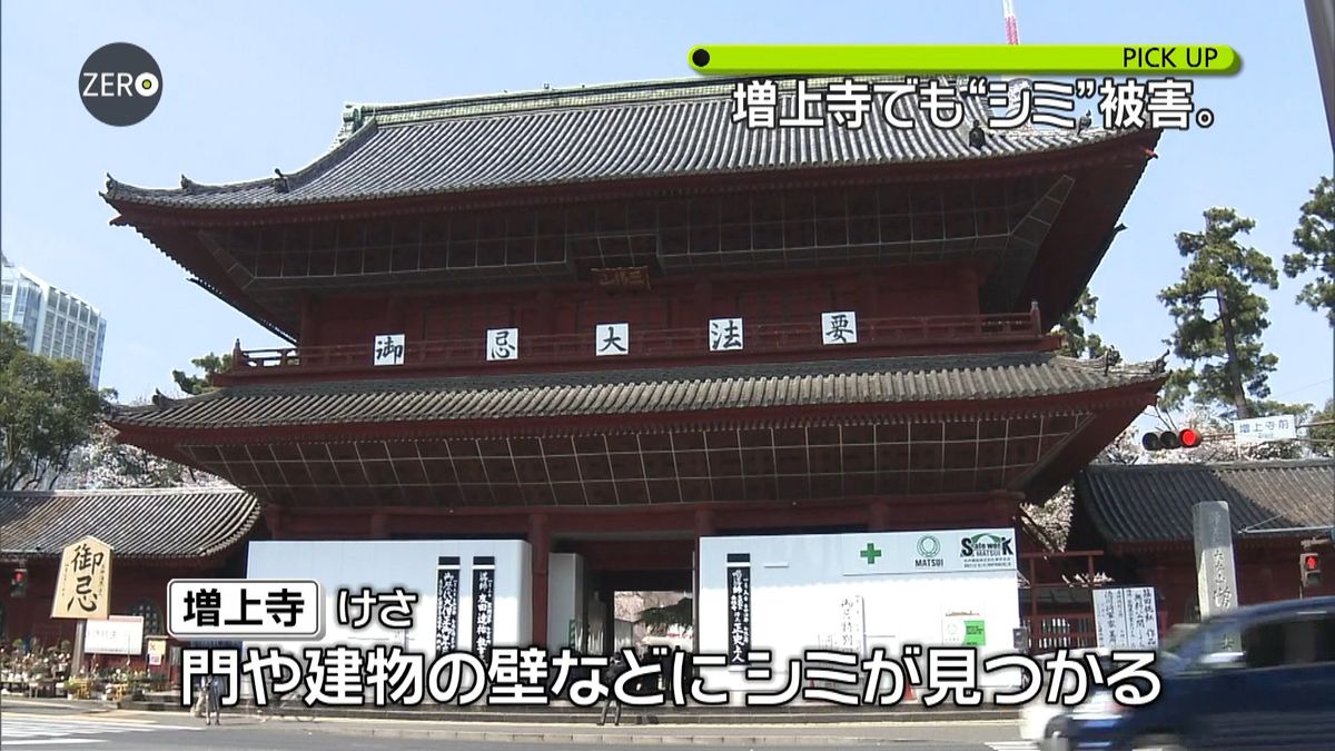 東京・増上寺でも壁などに“液体”シミ