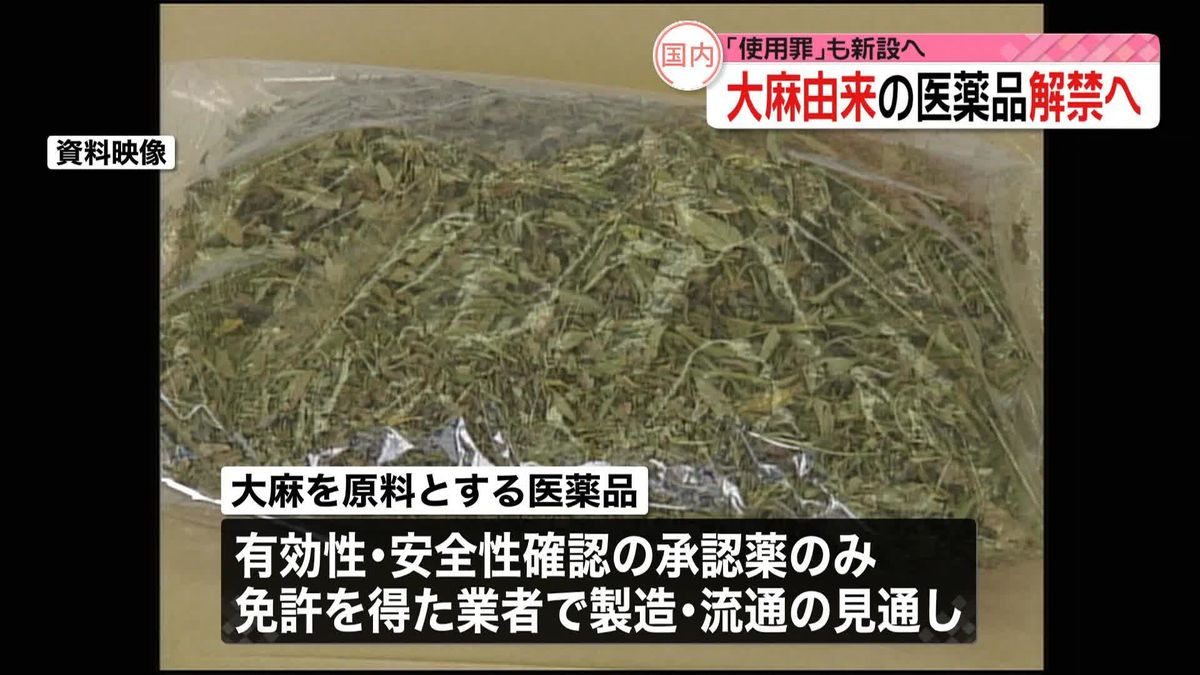 “大麻原料の医薬品解禁へ”厚労省取りまとめ　「使用罪」の新設も了解