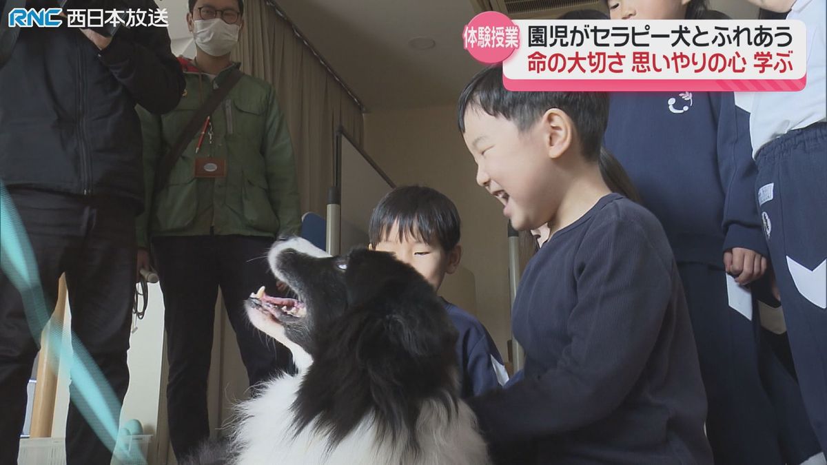 セラピー犬と幼稚園児の「ふれあい授業」思いやりの気持ちを育む