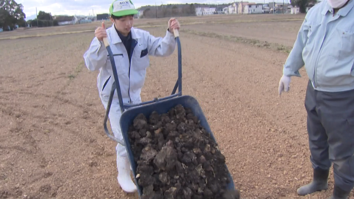 集めた豚の排せつ物を田畑に運ぶ生徒