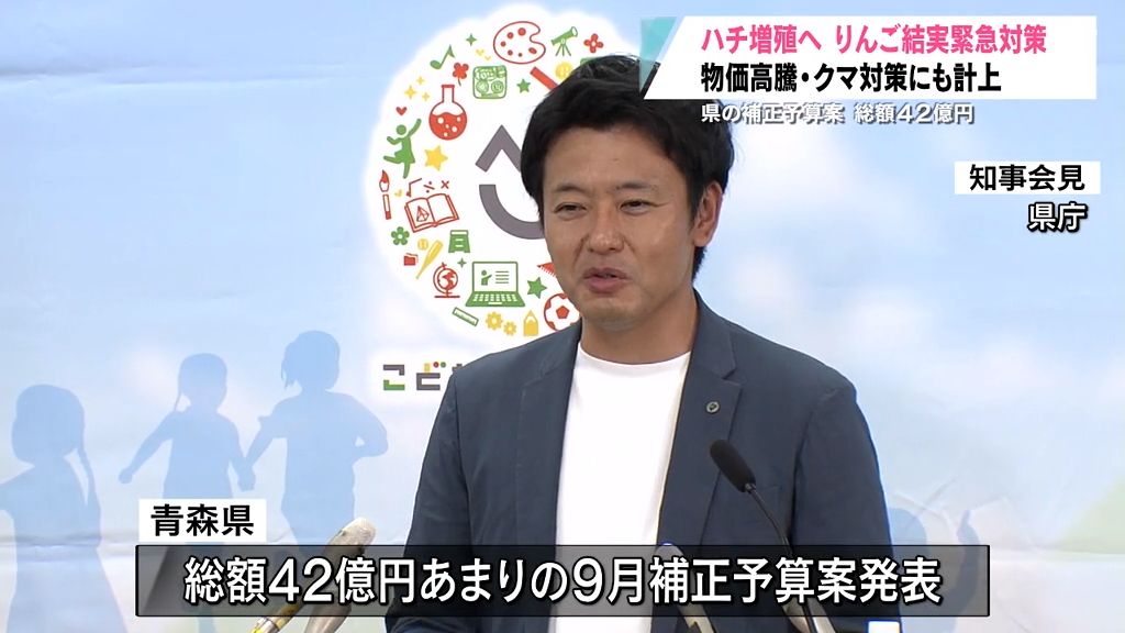 りんご結実緊急対策などに42億円の補正予算案発表