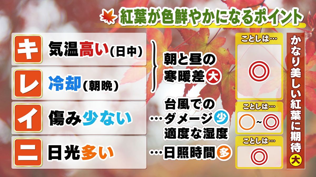 今年は「キ・レ・イ・ニ」色づく紅葉に期待！