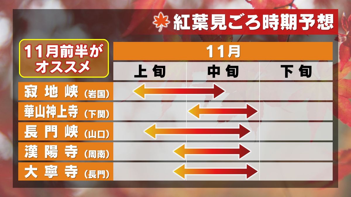 山口県の紅葉見ごろ時期予想