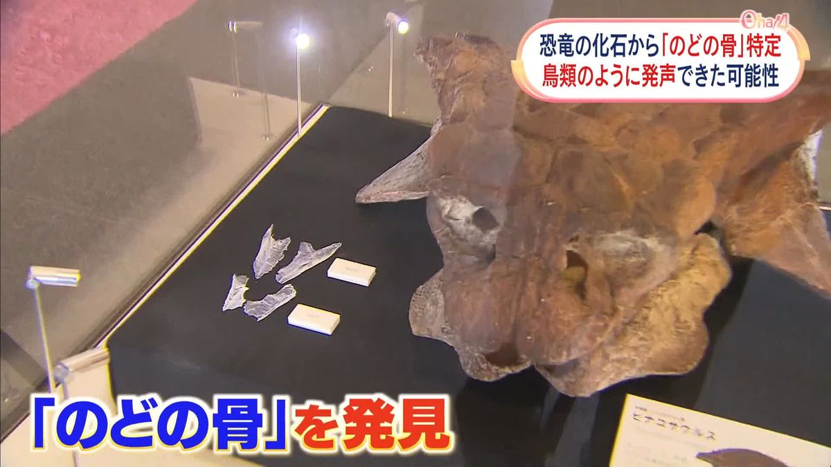 恐竜は鳥のように発声できた? 世界初「のどの骨」特定　福島県立博物館の学芸員ら日米研究グループ発表
