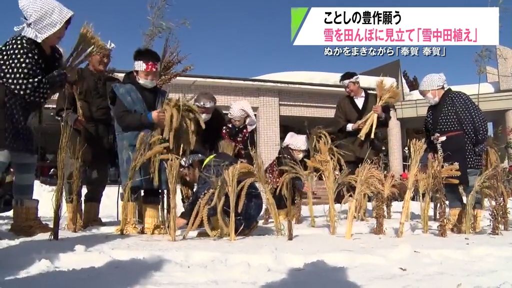 「銭も金も飛んでこい」小正月の伝統行事“雪中田植え”で豊作願う　青森県東北町