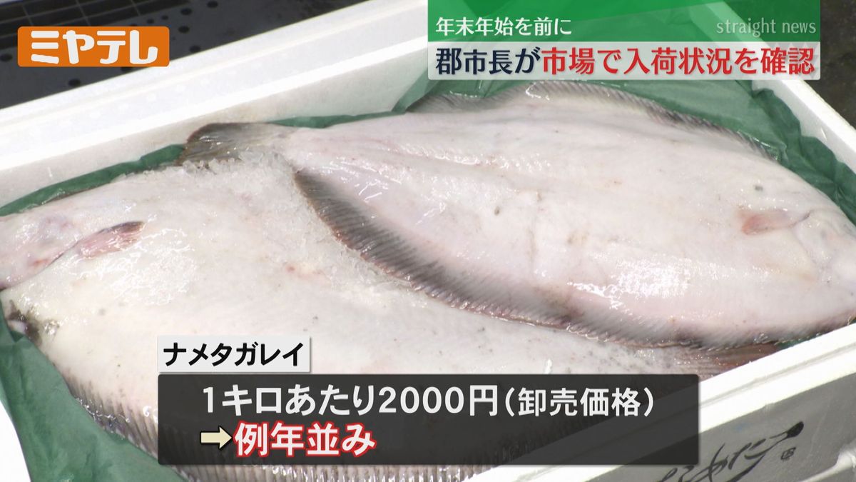 ナメタガレイ〝卸値は例年並み〟年末年始の食卓は　セリ・ネギは猛暑で値上がりか＜仙台＞