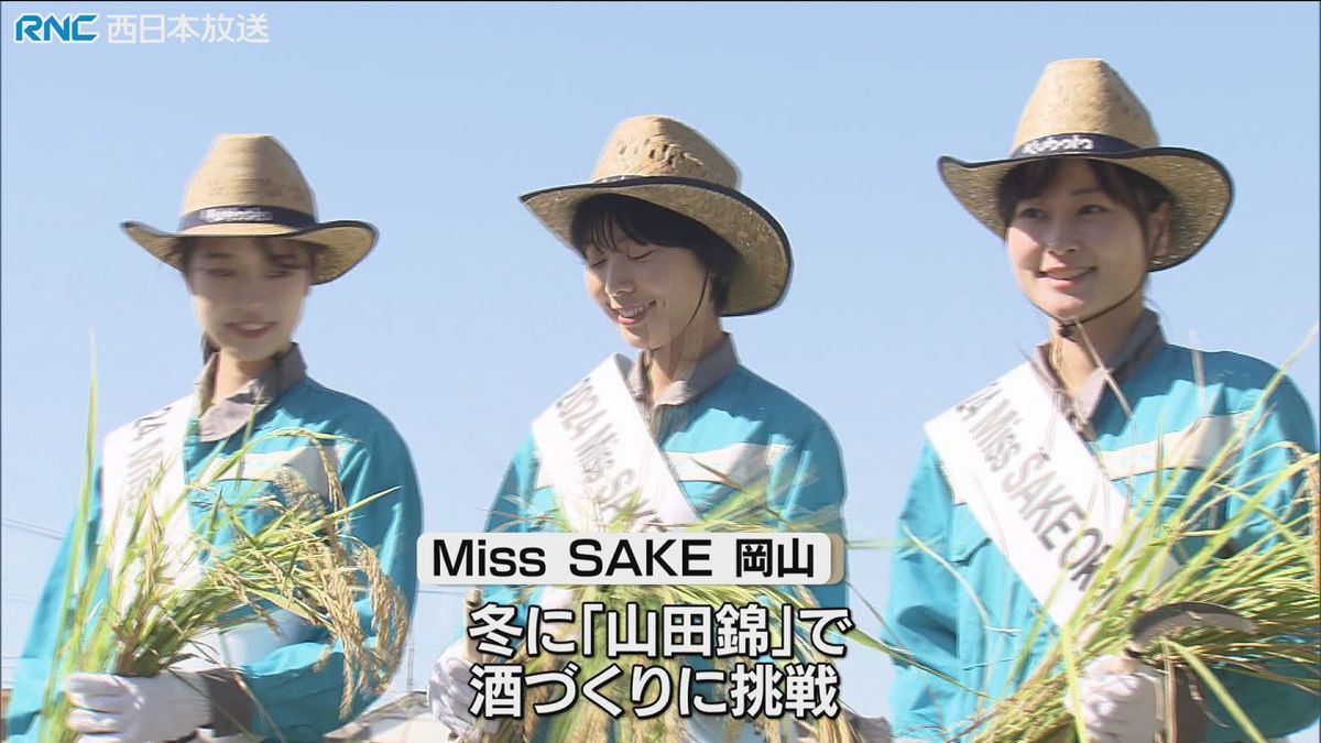 日本酒の魅力「Miss SAKE（ミス　サケ） 岡山」が発信　酒米の稲刈りでアピール