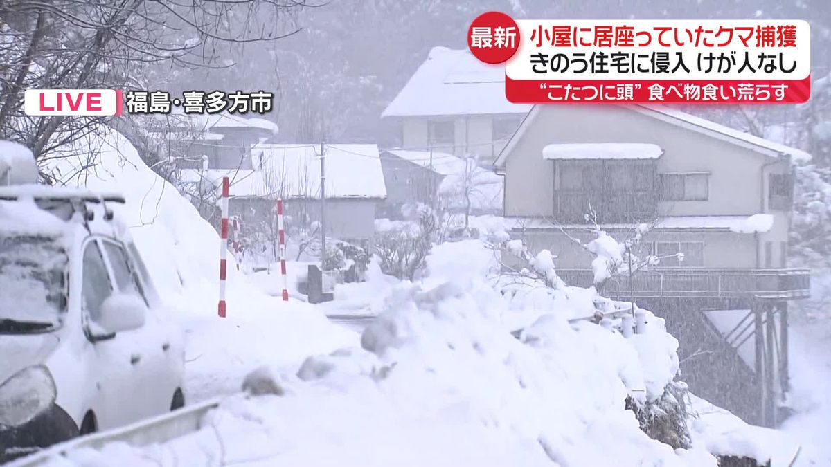 民家に侵入…小屋に居座っていたクマ捕獲される　福島・喜多方市