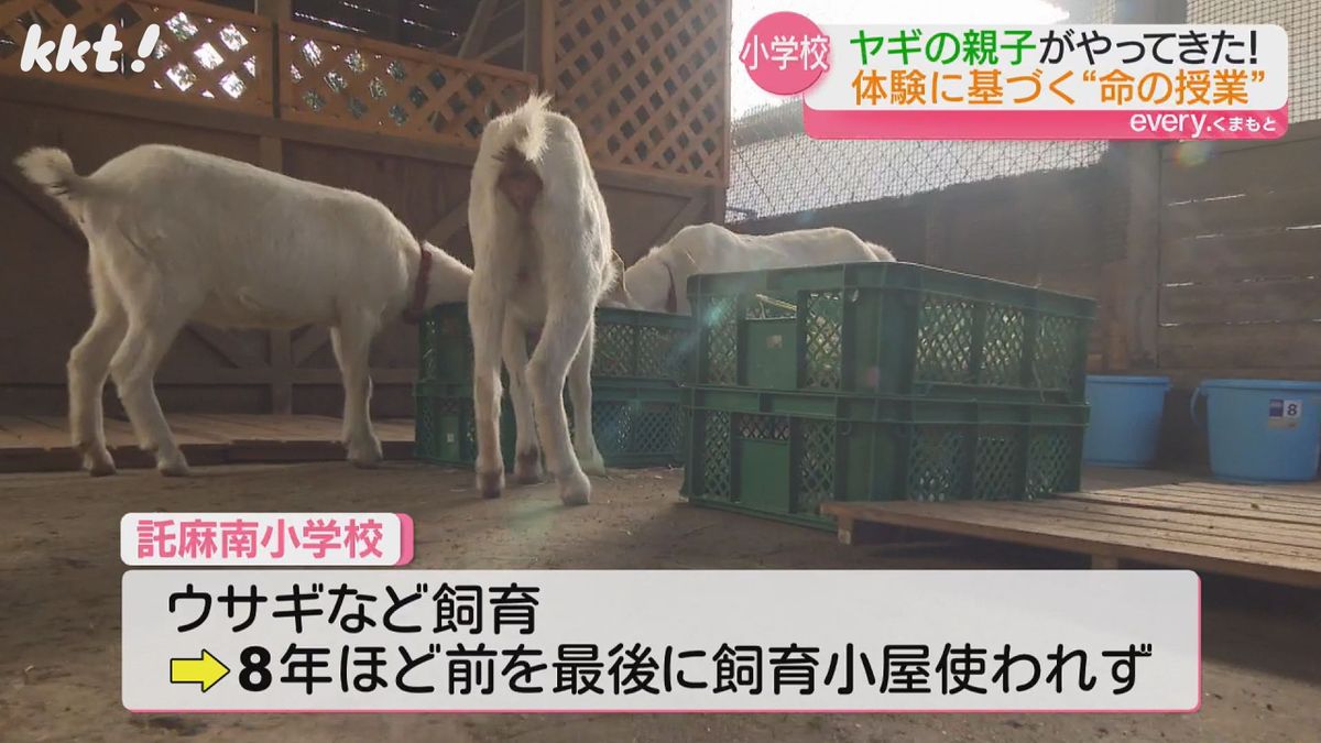 託麻南小も8年ほど前を最後に飼育小屋は使われず