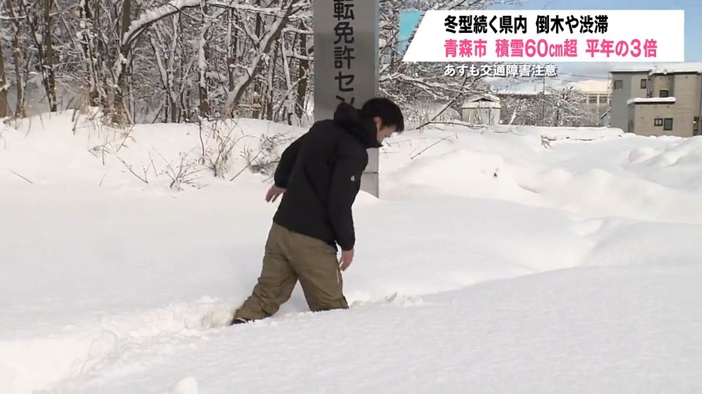 酸ヶ湯の積雪が今季初の2メートル超　青森市内も平年の3倍で学校付近の歩道も膝下まで雪が…「先が長くてぞっとします」