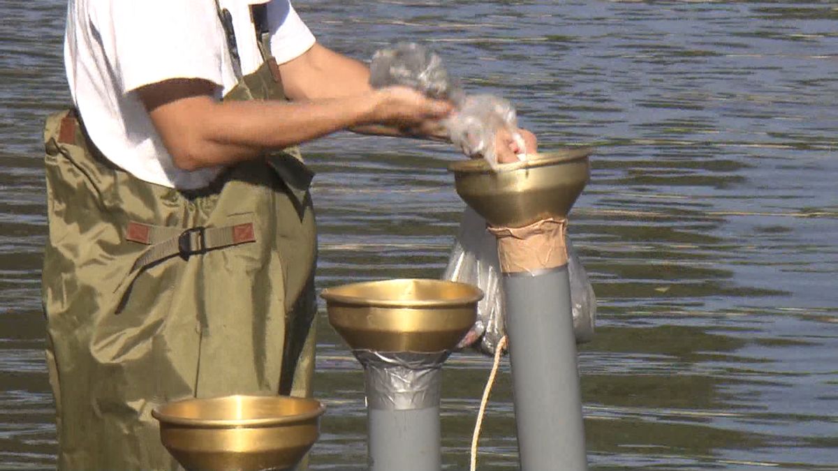 悪臭の池で水質浄化作戦！　鍵はセラミック