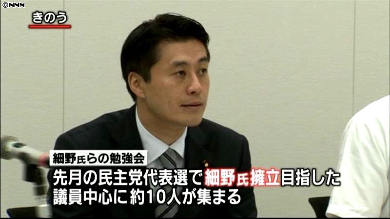 民主党・細野政調会長が勉強会立ち上げ