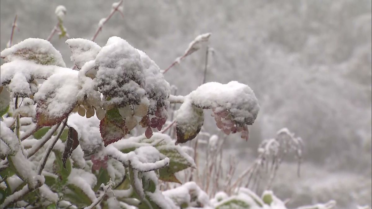 【立冬】各地で冷え込み山沿いで積雪も　温泉街は雪景色に　8日も気温が下がる見込み　体調管理に注意 《新潟》