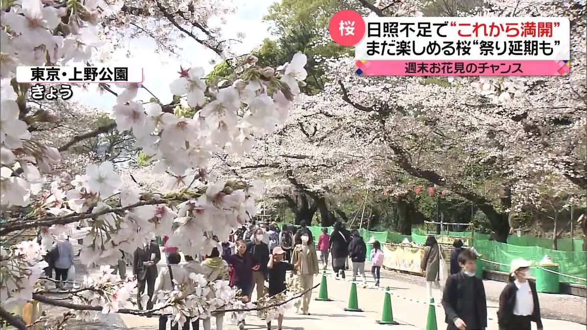 この週末は“お花見”のチャンス？　週末に満開迎える立川・昭和記念公園　神奈川・中井町は「桜祭り」1週間延期し4月1日に