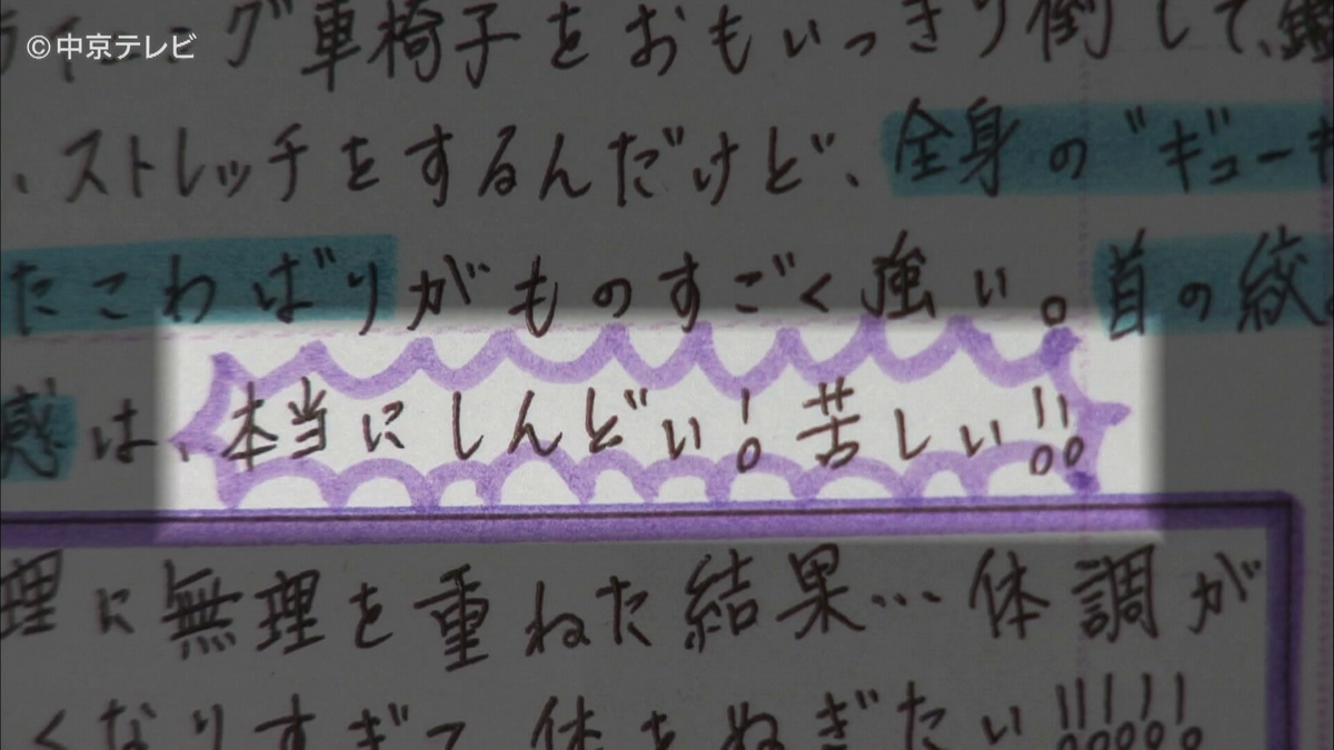 「痛み日記」の一部