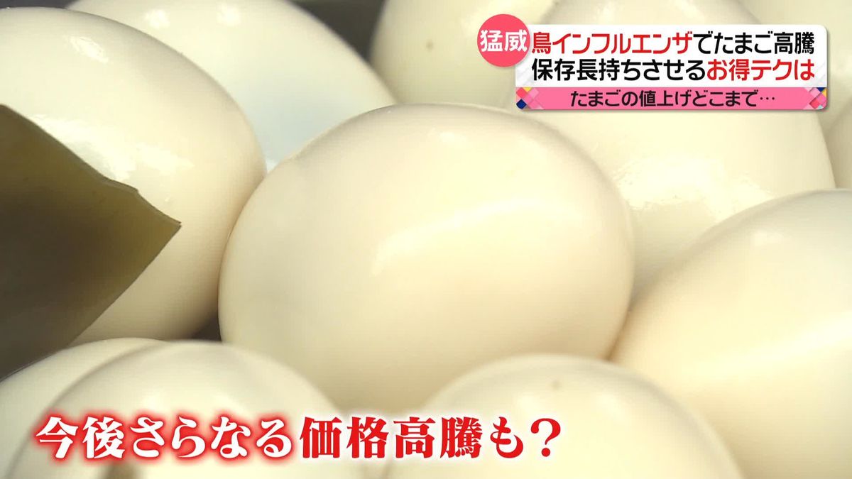 “物価の優等生”タマゴも高騰　去年と比べ3割近くも…　クリスマスケーキやおでんは？