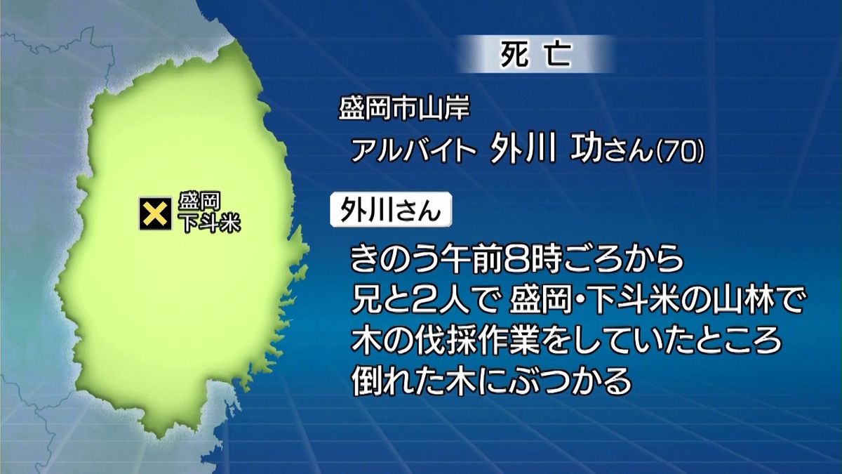 伐採作業中の70歳男性死亡　倒木にぶつかる　岩手県盛岡市