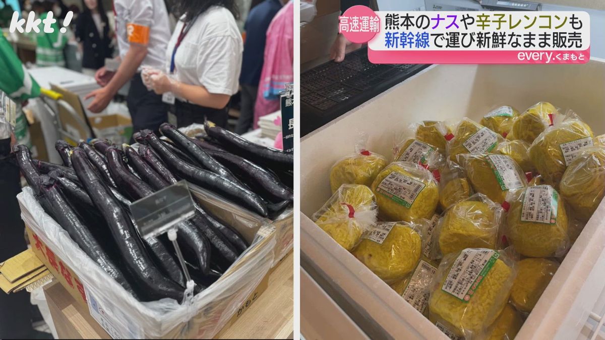 ｢ご当地の食を高速輸送｣熊本の朝採れ大長ナスとからし蓮根が夕方には東京駅で販売