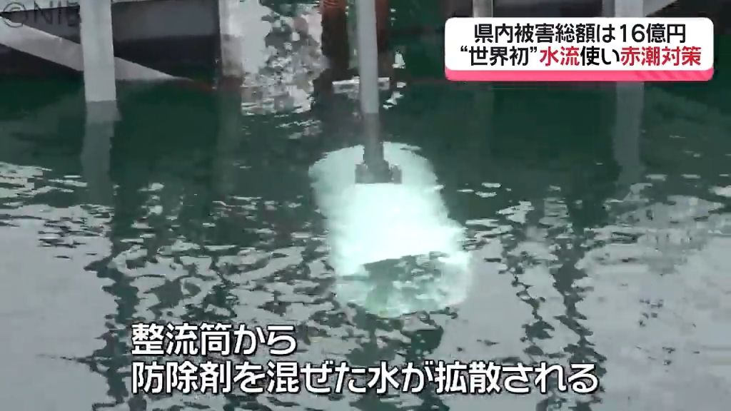 養殖業の “希望の光に”　世界初の試み「水流発生で赤潮対策」 全国でも来年度から使用へ《長崎》　