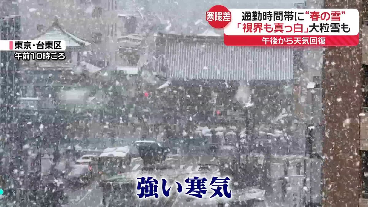 “想定外の積雪”都心で1センチ　週末は20℃超か