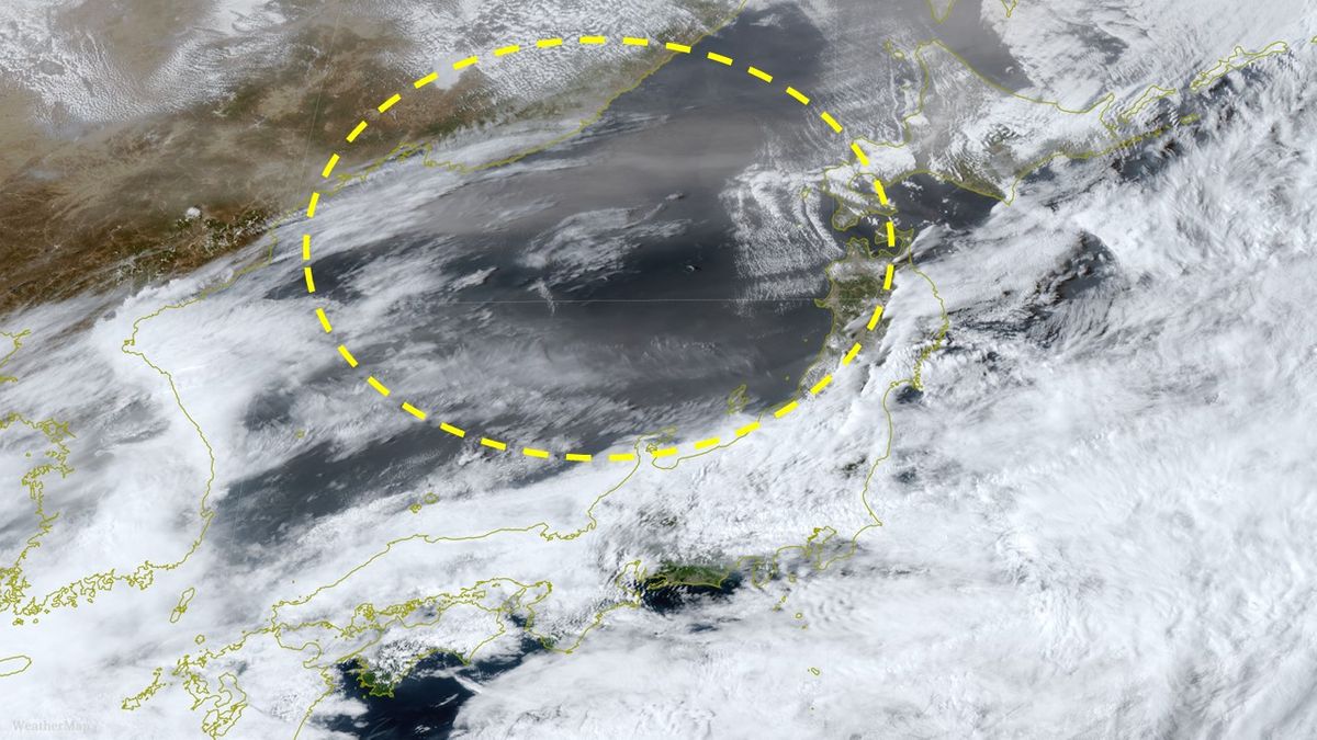 新潟で「黄砂」観測　夜にかけ日本海側中心に飛来の可能性