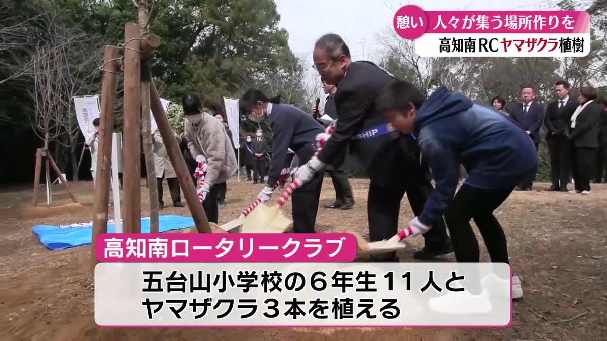 人々が集う憩いの場を！高知南ロータリークラブが五台山公園にヤマザクラを植樹【高知】