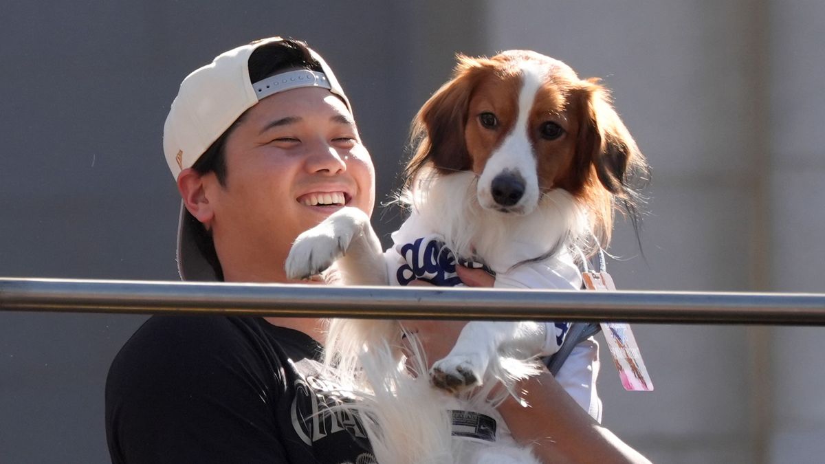 ファンの多さにデコピンもビックリ？　ドジャースの優勝パレードに大谷翔平の“家族”も参加　沿道からは「DECOY」コール