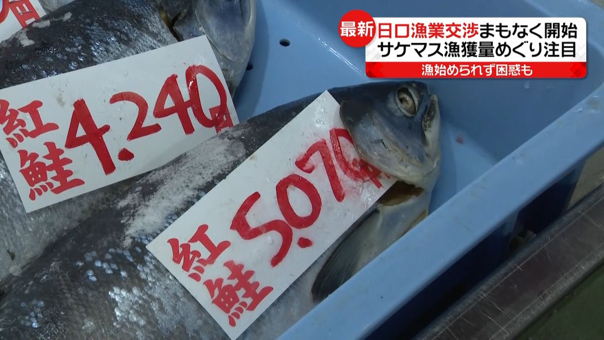 水産庁　日本とロシアの漁業交渉が開催へ　交渉難航も予想