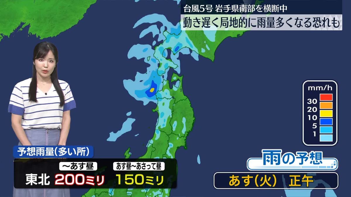 【動画】台風5号　動き遅く局地的に雨量多くなる恐れも…今後の進路や雨の予想は