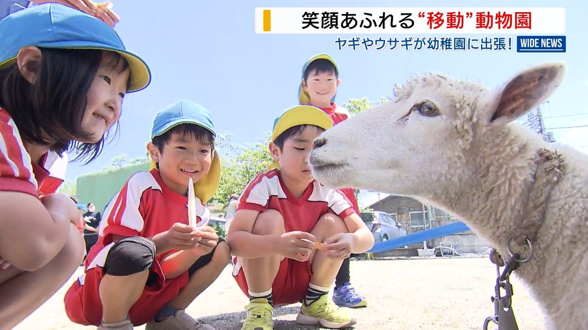 「かわいい!」移動動物園に笑顔と歓声 ウサギやヤギと園児が触れ合い 市川南幼稚園