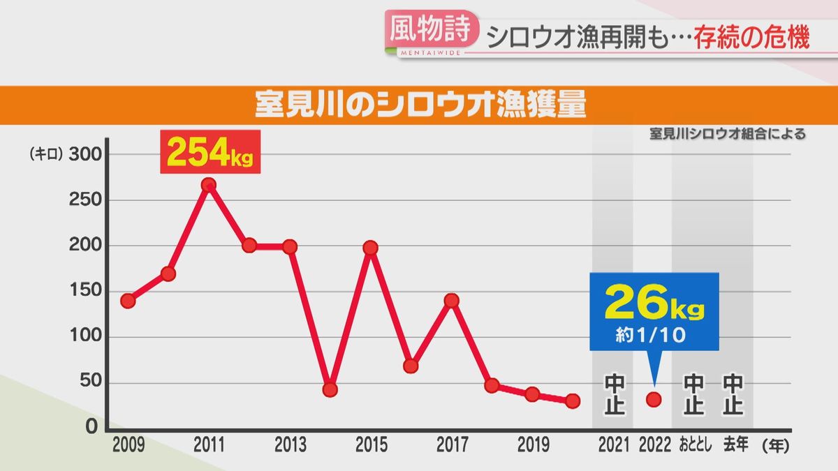 漁獲量が激減