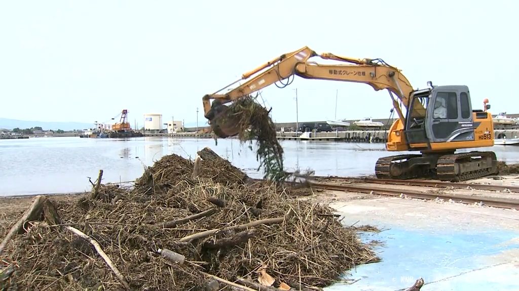 大雨影響か　大量の流木が港内に　魚津市の経田漁港