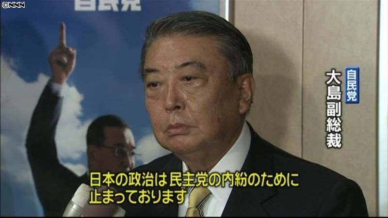 民主党内紛で政治止まっている～自民副総裁