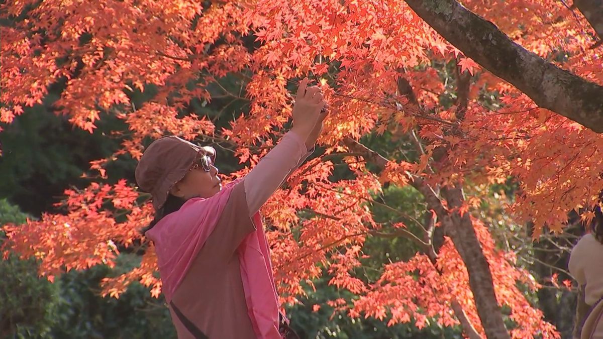 12月に楽しむ「秋」の風情　両子寺や岡城跡など　例年より遅めの紅葉名所を巡る　大分