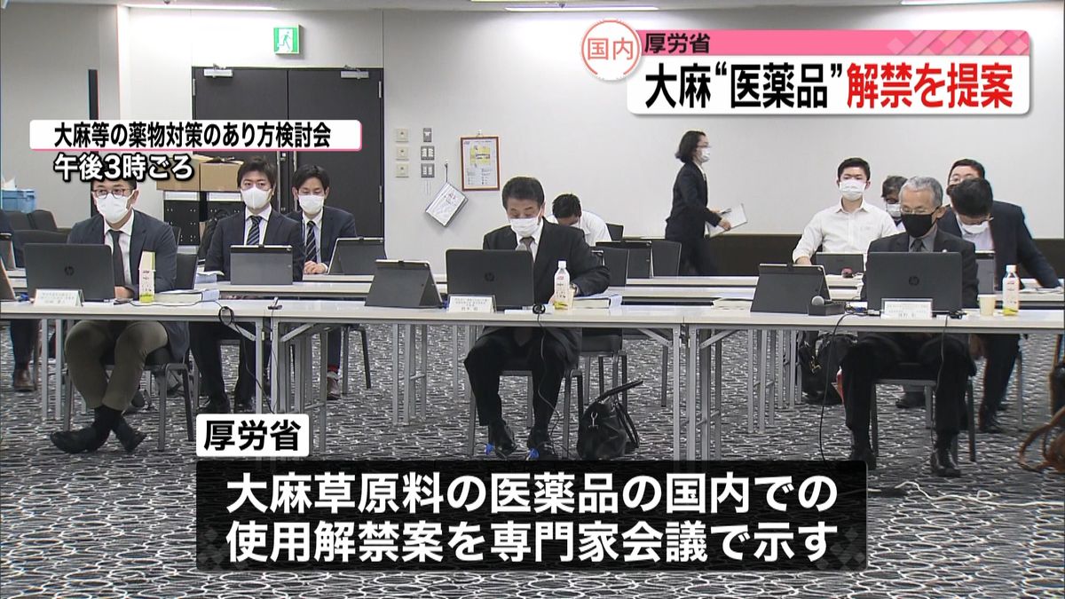 大麻“医薬品”解禁を提案　厚労省