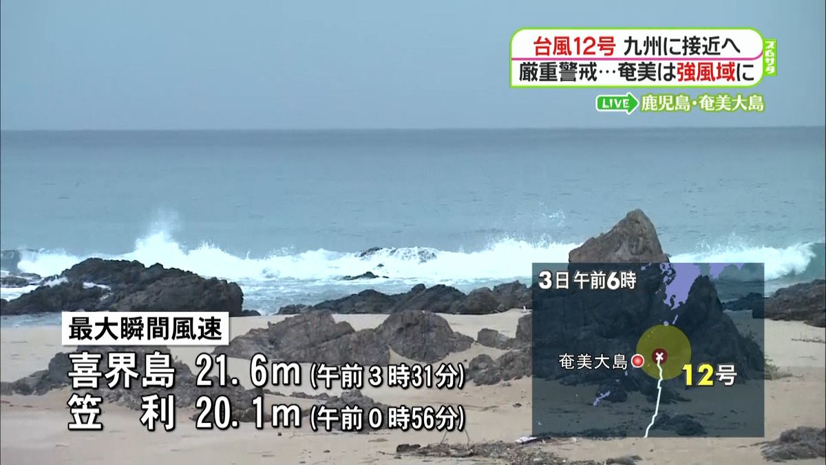 強風域の奄美大島　サトウキビ被害に懸念