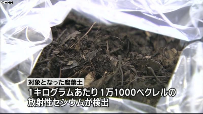 栃木県産腐葉土からセシウム、使用自粛要請