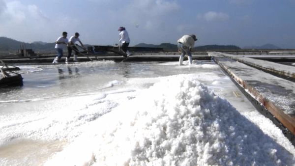塩田で生産される塩（韓国・全羅南道）