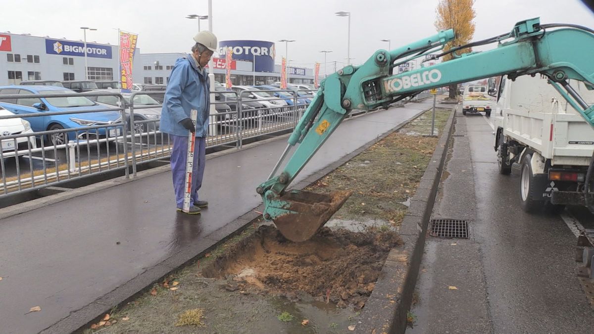 街路樹の植え替え作業始まる ビッグモーター店舗前で枯れていた問題 国交省が費用請求方針