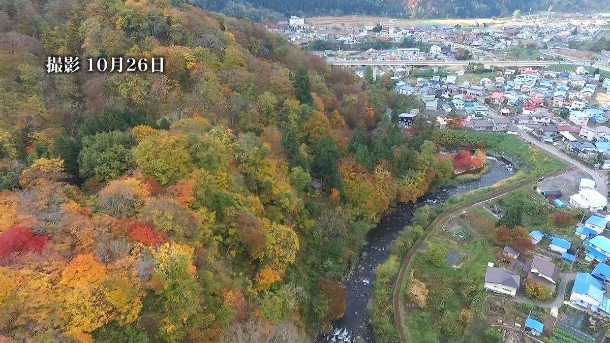 「空から紅葉」無人小型機で見る“小嵐山”