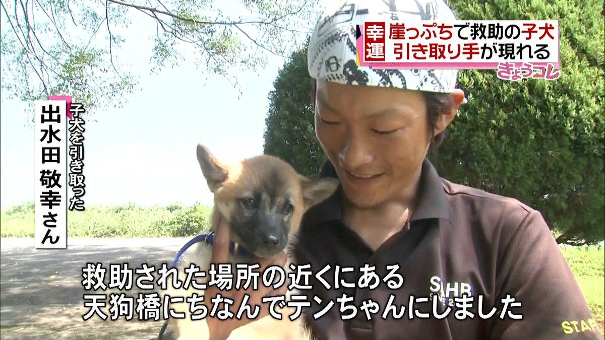 川岸から救助の子犬　引き取り手みつかる