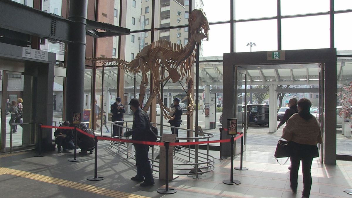 足の指折れる、木製の恐竜骨格標本　転倒した際に破損させたか　50代男性が謝罪に訪れる　福井駅東口、観光交流センター