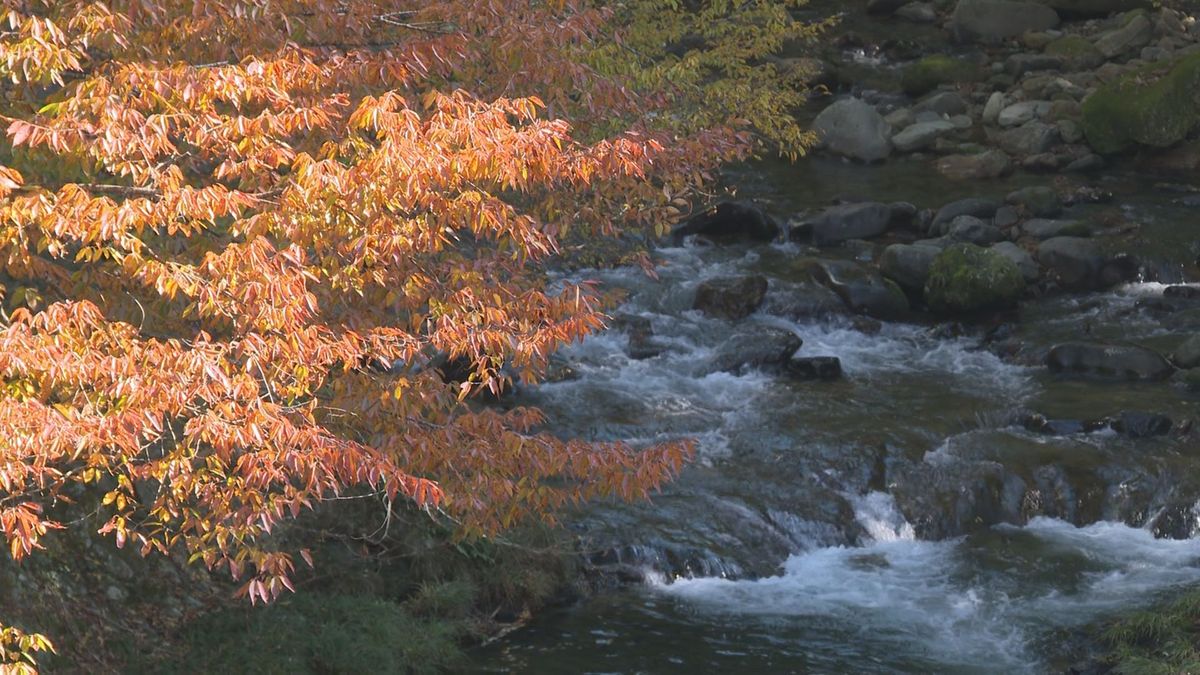 山形県内紅葉見頃　国道48号沿いの関山大滝　コントラストが鮮やか