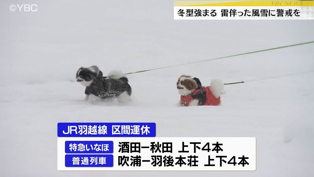 交通機関にも影響　冬型の気圧配置強まり山形県内は雪強く降る所も