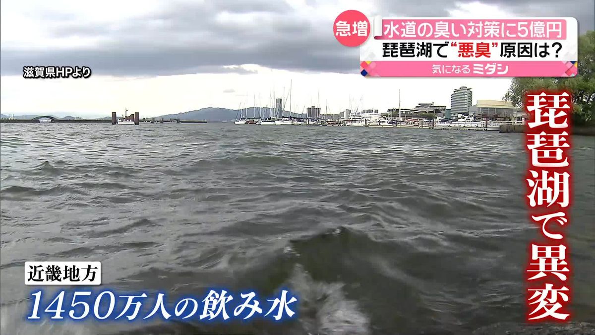 琵琶湖で“悪臭”原因は？　京都市では「活性炭」導入…水道の臭い対策に5億円超！　