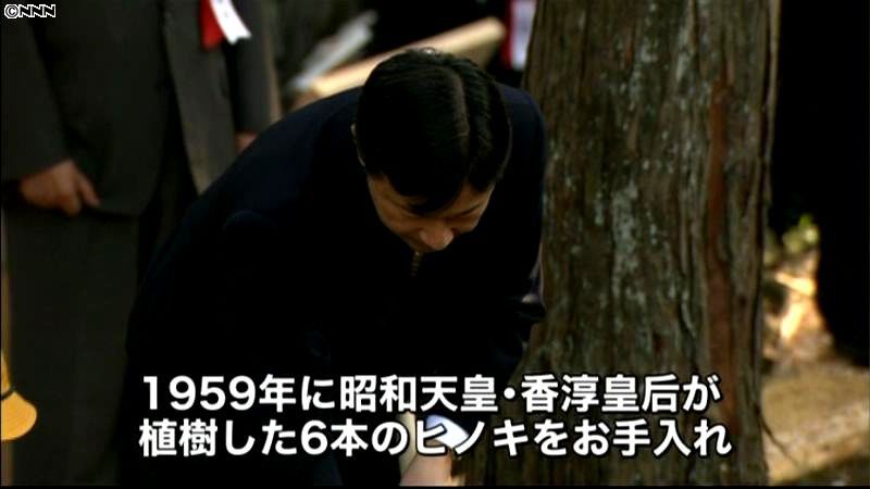 皇太子さま　全国育樹祭出席のため埼玉訪問