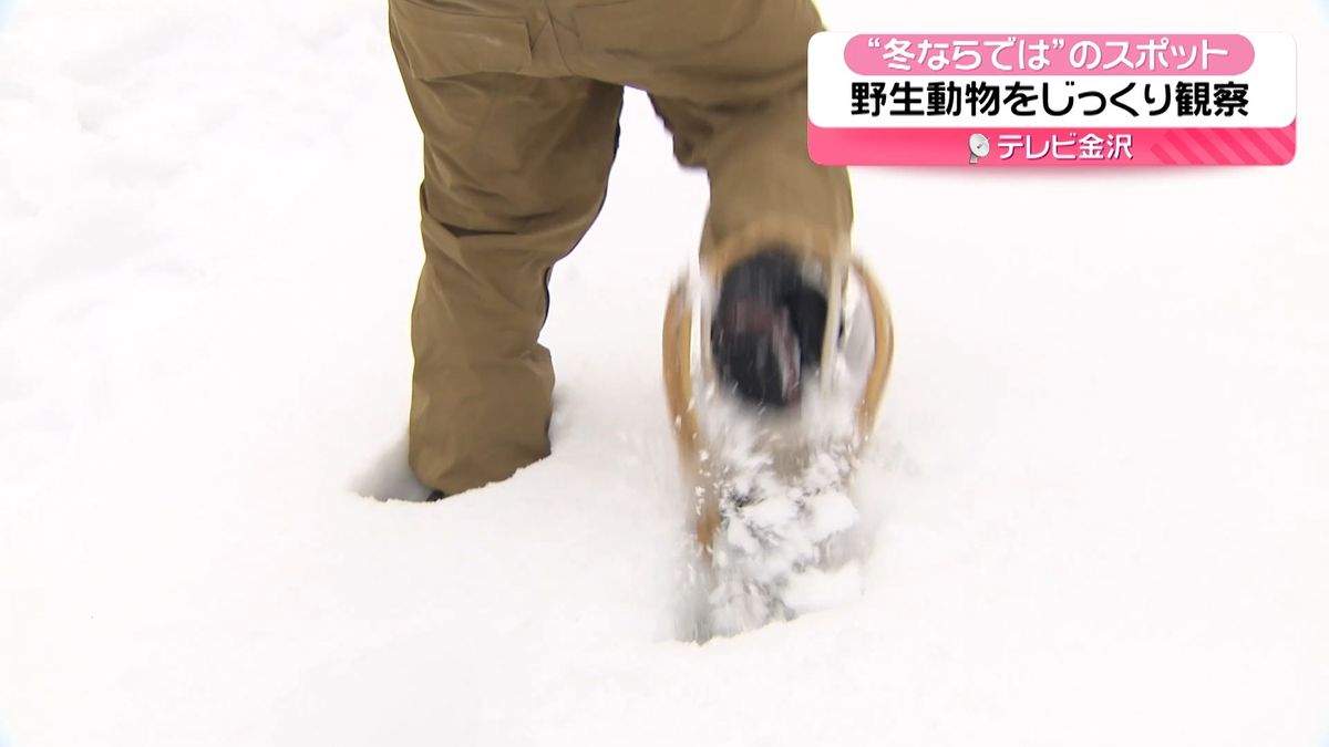 【北陸3県イイトコどり～】冬ならではのスポット「“かんじき”履いて雪山ハイキング」