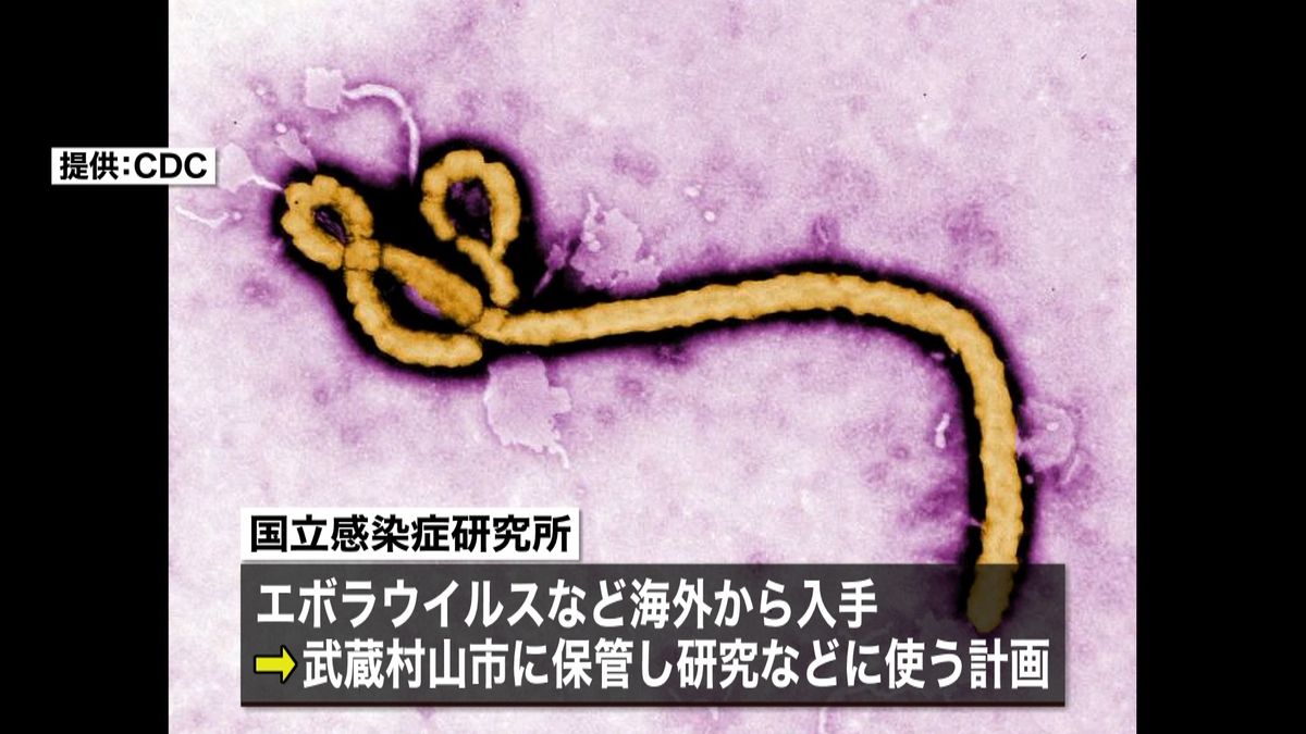 エボラ病原体“輸入”国に安全対策求める